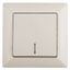 Выключатель одноклавишный скрытого монтажа с подсветкой слоновая кость 10А 250В Intro Solo 4-102-02 - Б0053559 ЭРА