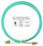 Шнур оптический FOP-50-LC-LC-2м duplex LC-LC 50/125мм OM3 2м LSZH Cabeus 7338c FOP-50-LC-LC-2m