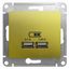 Розетка USB 2-м СП Glossa тип A+A 5В/2100мА 2х5В/1050мА механизм фисташк. SE GSL001033 APC