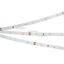 Лента светодиодная RT 2-5000 24V White 6000К 0.5х(3528 150 LED LUX) 2.9Вт/м IP20 (уп.5м) Arlight 019917