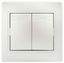 Выключатель двухклавишный, в рамку (скрытого монтажа) перламутр 10А 250В Intro Plano 1-104-06 - Б0053767 ЭРА