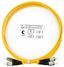 Шнур оптический duplex FC-FC 9/125 SM LSZH FOP(D)-9-FC-FC-2M 2м Cabeus 7491c