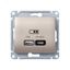 Розетка USB Glossa тип A+C 45Вт QC PD высокоскор. ЗУ механизм титан SE GSL000429 APC