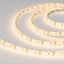 Лента светодиодная герметичная RTW-SE-A120-8mm 12V Warm3000 (9.6 W/m, IP65, 2835, 5m) (arlight, -) | 015730(2) Arlight