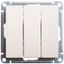 Выключатель 3-кл. СП W59 10А IP20 10AX механизм сл. кость SE VS0510-351-2-86 APC