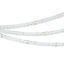 Светодиодная лента COB-X768-12mm 24V RGBW-White (15 W/m, IP20, CSP, 5m) (Arlight, 5 лет) | 041787 Arlight