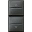 Кнопка двойн. с блокировкой 1п (NO) + 10А 250В Axolute антрацит Leg BTC HS4037 Legrand