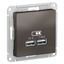 Розетка ATLASDESIGN USB 5В 1 порт x 2,1 А 2 порта х 1,05 механизм мокко - ATN000633 APC