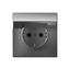 Розетка ArtGallery 16А IP20 с заземл. защ. шторки крышкой механизм сталь SE GAL000946 APC