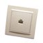 Розетка компьютерная одноместная RJ-45, серия Эрна, слоновая кость, Stekker - PST00-9007-02 39233 FERON
