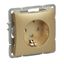 Механизм розетки 1-м СП Дуэт 16А шампань SchE WDE000445 APC
