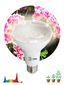 Лампа светодиодная FITO-15W-Ra90-E27 15Вт BR30 E27 220-240В для растений полноспектральная бел. спектр Эра Б0039173