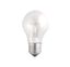 Лампа накаливания ЛОН 40Вт Е27 240В A55 clear (Б 230-40-5) | 3326623 Jazzway