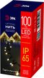 Светодиодная новогодняя гирлянда ERAPS-NK10 нить 10 м тёплый свет 100 LED | Б0051888 ЭРА
