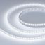 Лента светодиодная RT-A120-8mm 12V Cool 8K (9.6 W/m, IP20, 2835, 5m) (Arlight, 9.6 Вт/м, IP20) | 013239(2) Arlight