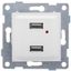 Розетка USB Ugra, механизм, двойной, белый - С11USB2-001 GUSI