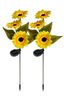 Светильник светодиодный садовый SLR-S13-S2 "Подсолнухи" на солнечн. батарее (уп.2шт) ФАZА 5053915 ФАЗА