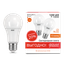 Лампа светодиодная Elementary A60 12W 3000K E27 (2 лампы в упаковке) LED 1/50 | 23212P Gauss