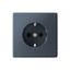 Розетка ArtGallery 16А с заземл. со шторками быстрозажим. клем. механизм грифель SE GAL000745S APC