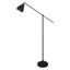 Торшер BRACCIO E27 1х60Вт Металл Чёрный - A2054PN-1BK Arte Lamp