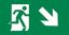 Пиктограмма (наклейка) "ВЫХОД/стрелка напр. вниз" PVC для ССА 3000 IEK | LPC10-2-30-15-NAPRVN