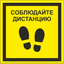 Знак безопасности NPU-1818.EC13''Соблюдайте дистанцию'' - a26747 BS