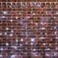 Гирлянда светодиодная "Светодиодный Дождь" 2х6м 768LED бел. 230В IP65 эффект мерцания провод прозр. ПВХ (нужен блок 303-500-1) Neon-Night 235-385