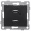 Розетка USB Bravo, механизм, двойной, графит - С10USB2-010 GUSI