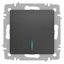 Выключатель одноклавишный, в рамку (скрытого монтажа) с подсветкой графит 10А 250В винтовые зажимы Intro Accent 6-102-07 - Б0063434 ЭРА