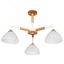 Люстра потолочная MATTHEW E27 3х40Вт Металл Коричневый - A5032PL-3BR Arte Lamp