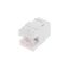 Модуль Keystone Jack RJ-45(8P8C), UTP неэкранированный, CAT 5e, тип 180 градусов, белый REXANT PRO | 02-0060 MEET