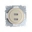Розетка USB 2-м СП Florence 16А IP20 с подсветкой механизм беж. (1E10351301) OneKeyElectro 2260090 ССТ