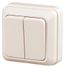 Выключатель двухклавишный наружный (открытой установки) слоновая кость 10А 250В Intro Quadro 2-104-02 - Б0053759 ЭРА