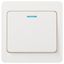 Выключатель одноклавишный скрытого монтажа с подсветкой белый 10А 250В винтовые зажимы Intro Style 7-102-01 - Б0060627 ЭРА