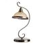 Настольная лампа Arte Lamp SAFARI A6905LT-1AB