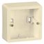Коробка установочная ОП CARIVA сл. кость Leg 773798 Legrand