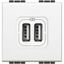 Разъем LL для зарядки 2хUSB бел. Leg BTC N4285C2 Legrand