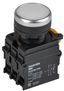 Кнопка d22мм 1НО+1НЗ MASTER с подсветкой и фиксацией бел. IEK MI-BT60-11TD-3-11-K01