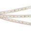 Светодиодная лента герметичная RTW-PFS-B60-13mm 12V Blue (14.4 W/m, IP68, 5060, 5m) (Arlight, 14.4 Вт/м, IP68) | 036280 Arlight