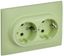 Розетка 2-м SKANDY 16А с заземл. защ. шторки в сборе SK-R07G мятный IEK SK-R24-16-K06-F