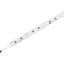 Линейка светодиодная ARL-500-6W 12V White6000 (5730, 30 LED, ALU) (arlight, Открытый) | 024351 Arlight