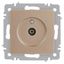 Розетка телевизионная одиночная TV СП Accent 6-301-04 IP20 шампань Intro Б0063609 ЭРА