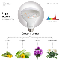 Эра Fito E27 15 В 220 Вт 500 Лм груша полноспектральная теплый белый свет Фитолампа светодиодная для растений (Энергия света)