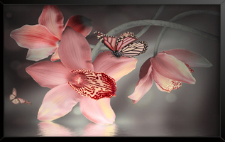 Картина в раме Орхидеи и бабочки 60x100 см аналоги, замены
