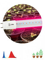 Лампа светодиодная для растений FITO-9W-RB-Т8-G13-NL Т8 48LED 2835 IP20 35000ч стекло красн./син. ЭРА Б0042986 (Энергия света) T8 тип цоколя G13 спектр сине-красная профессионального выращивания купить в Москве по низкой цене