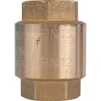 Клапан обратный пружинный муфтовый STOUT 1/2" с пластиковым седлом SVC-0012-000015 RG008T8CKERRJ5