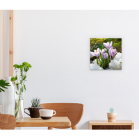 Картина на стекле 30х30 см «Цветы крокусы»