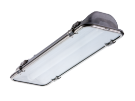 Светильник светодиодный промышленный ДПП/ДСП INOX LED 30 26Вт 5000К IP65 прозрачный | 1079000120 Световые Технологии