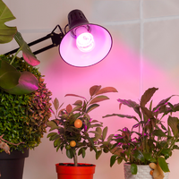 Эра 14 Вт E27 груша красно-синий спектр розовый свет Фитолампа светодиодная для растений (Энергия света)
