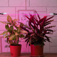 Эра Fito G13 9 В 220 Вт 296 Лм красно-синий спектр розовый свет Фитолампа светодиодная линейная для растений (Энергия света)